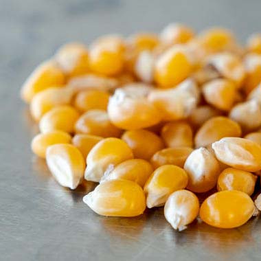 Popcorn kernels 