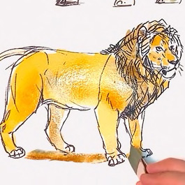 disney lion drawing 