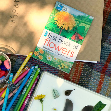 First book of Flowers, markers and dried flowers